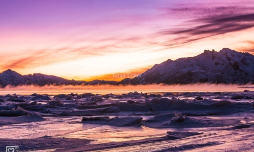 Lofoten-Vesteralen2018-291