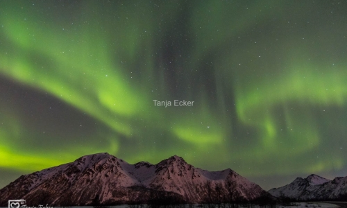 Lofoten-Vesteralen2018-301