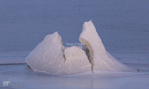 Lofoten-Vesteralen2018-333