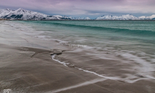 Lofoten-Vesteralen2018-398