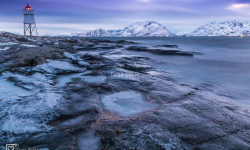 Lofoten-Vesteralen2018-404