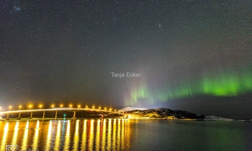 Tromso-Feb2020-594