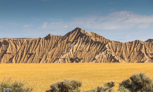 BardenasReales2019-45