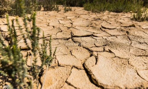 BardenasReales2019-64