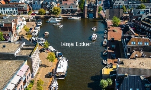 TE_SUP11_NS_23_01-3-2