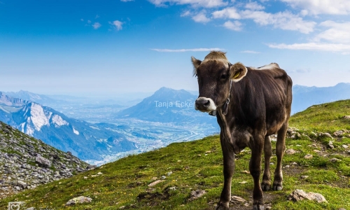 5SeenWanderung-11.8.2019-14