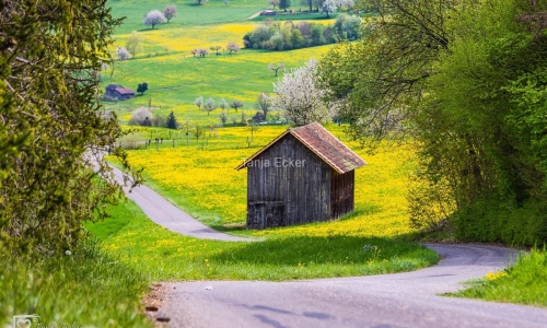 BluetschWeg-21.4.2019-36