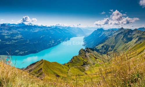 BrienzerRothorn-15.8.2018-143