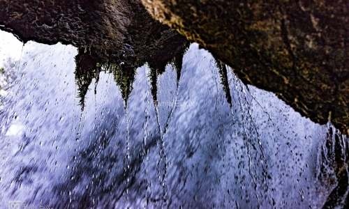 Brienzersee-Giesbachfalle-25.4.2019-30