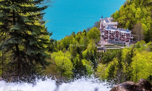 Brienzersee-Giesbachfalle-25.4.2019-58