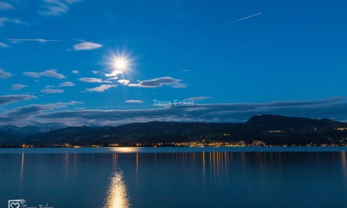 Zurisee-26.6.2018-15