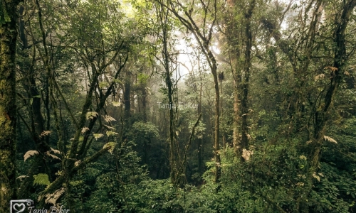 Thailand-20-11-13-12-2022-173