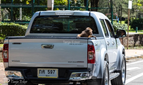 Thailand-20-11-13-12-2022-256