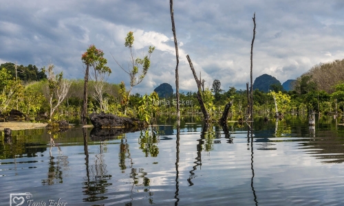 Thailand-20-11-13-12-2022-395