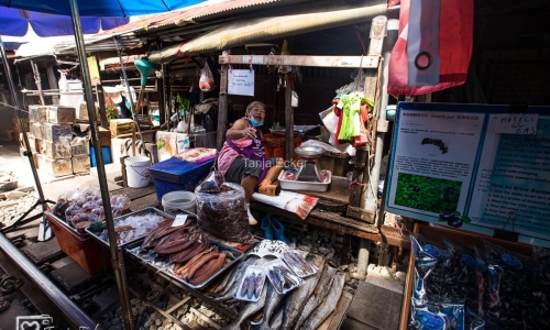 Thailand-20-11-13-12-2022-4