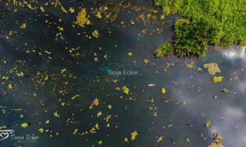 Thailand-20-11-13-12-2022-408-23