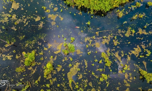 Thailand-20-11-13-12-2022-408-28