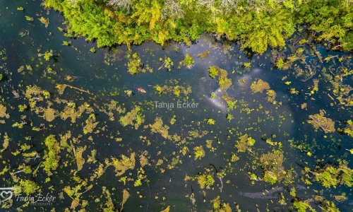 Thailand-20-11-13-12-2022-408-30