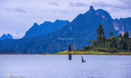 Thailand-20-11-13-12-2022-480