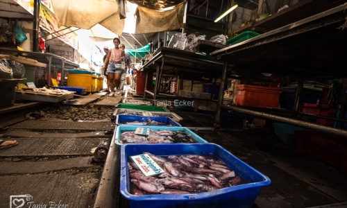 Thailand-20-11-13-12-2022-5