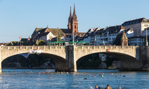 Wickelfisch_Rheinschwimmen©TanjaEcker-13-08-2024-13