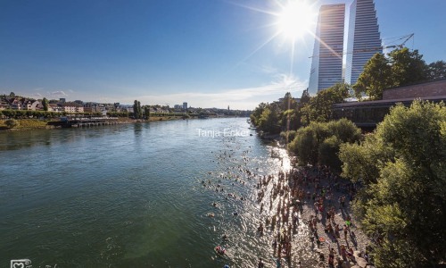 Wickelfisch_Rheinschwimmen©TanjaEcker-13-08-2024-3