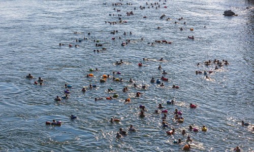 Wickelfisch_Rheinschwimmen©TanjaEcker-13-08-2024-4