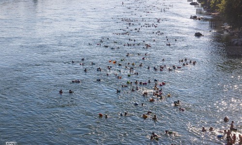 Wickelfisch_Rheinschwimmen©TanjaEcker-13-08-2024-5