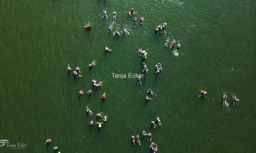 Wickelfisch_Rheinschwimmen_Drohne©TanjaEcker-13-08-2024-2-16