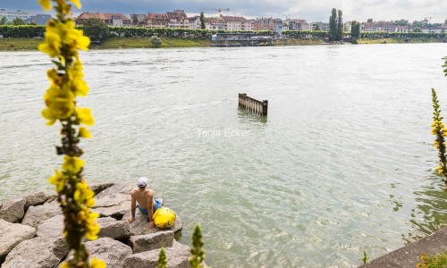 Wickelfisch_Shooting-©TanjaEcker-28-06-2024-88