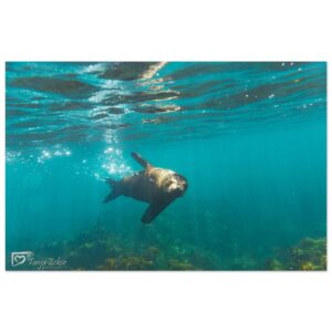 07491a72-7164-46ad-a9b6-1197043db20a