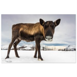 10b00b6a-d595-43a4-8a20-d855ec7f8939