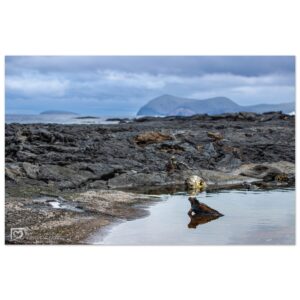 1cb3e53a-bd4d-47f8-b731-f2fb9cf11515