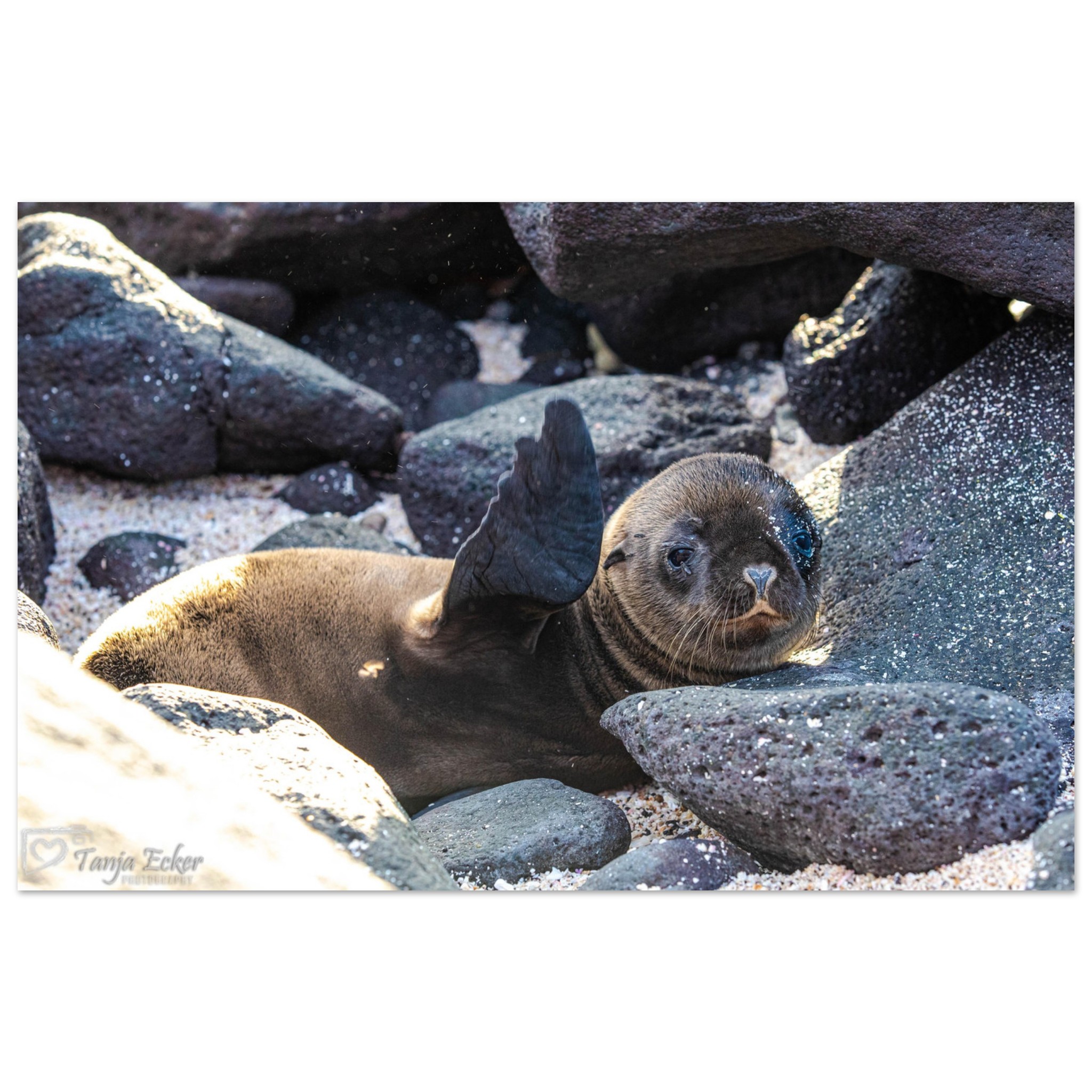 1d3b25b9-8779-4461-a44b-5889ec37e6d6