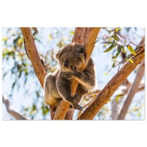 1d800235-93e4-455b-93ac-7fbdb79dd815