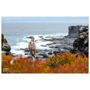 212df374-f12e-4586-93af-080af0b4cb86