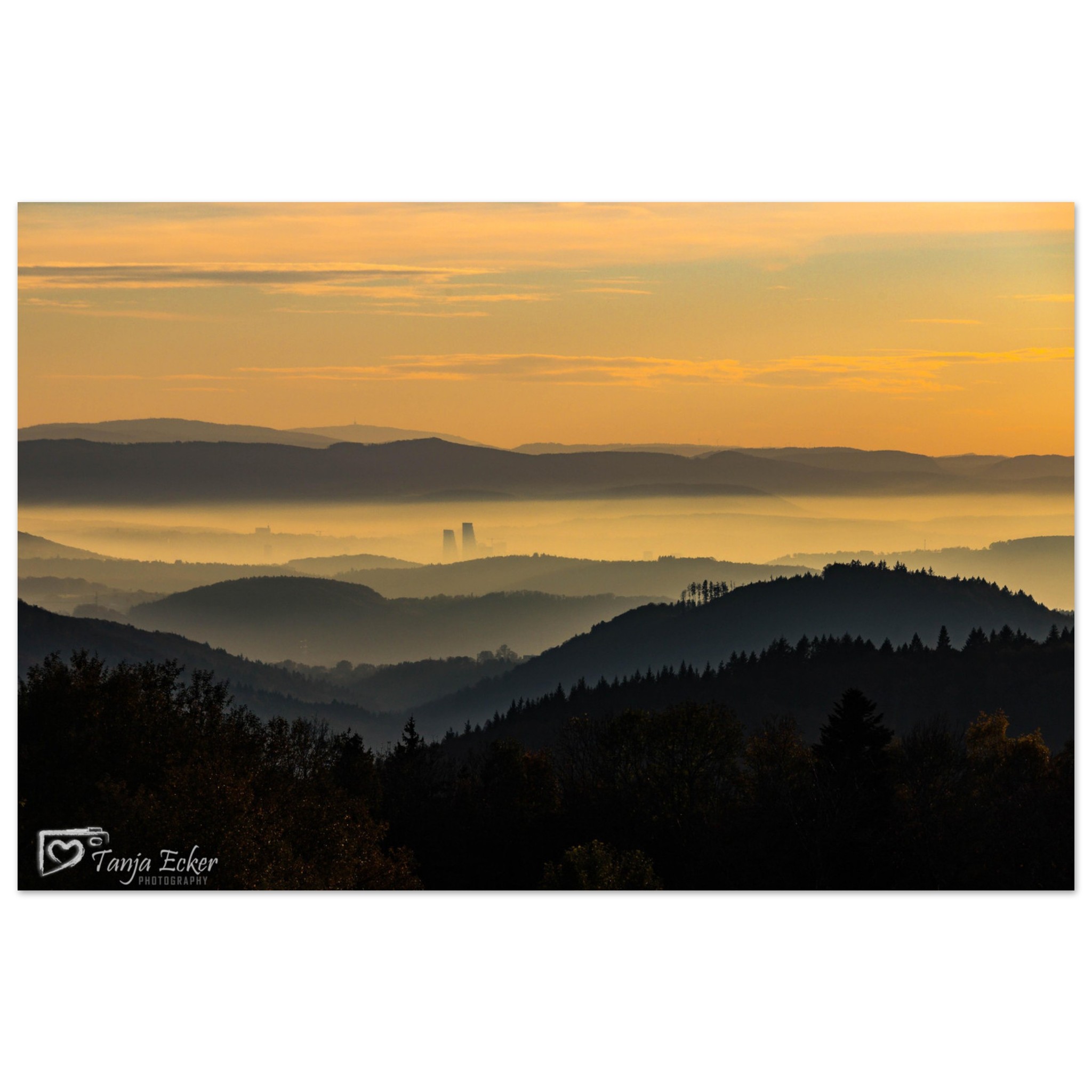 2aba1c84-a593-47b8-93a3-e112072c64f0