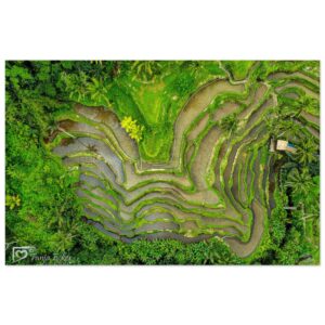 2c6d8b03-3066-4c43-9dce-ea0cc8c63a28