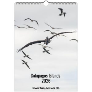 3f3cb56d-df4f-46c8-94a7-b773bb89444e