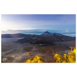 4864df5b-530e-4956-afba-bb4e76a7b414