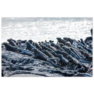 580a3306-e077-43d2-85b2-8cd0a7a09f9d