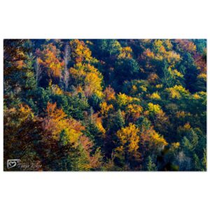 5be2cb36-9ad5-405a-8cf1-2ca791427d41