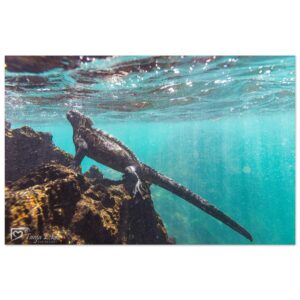 7fc8c294-b571-48c9-a80b-48b9007544ee