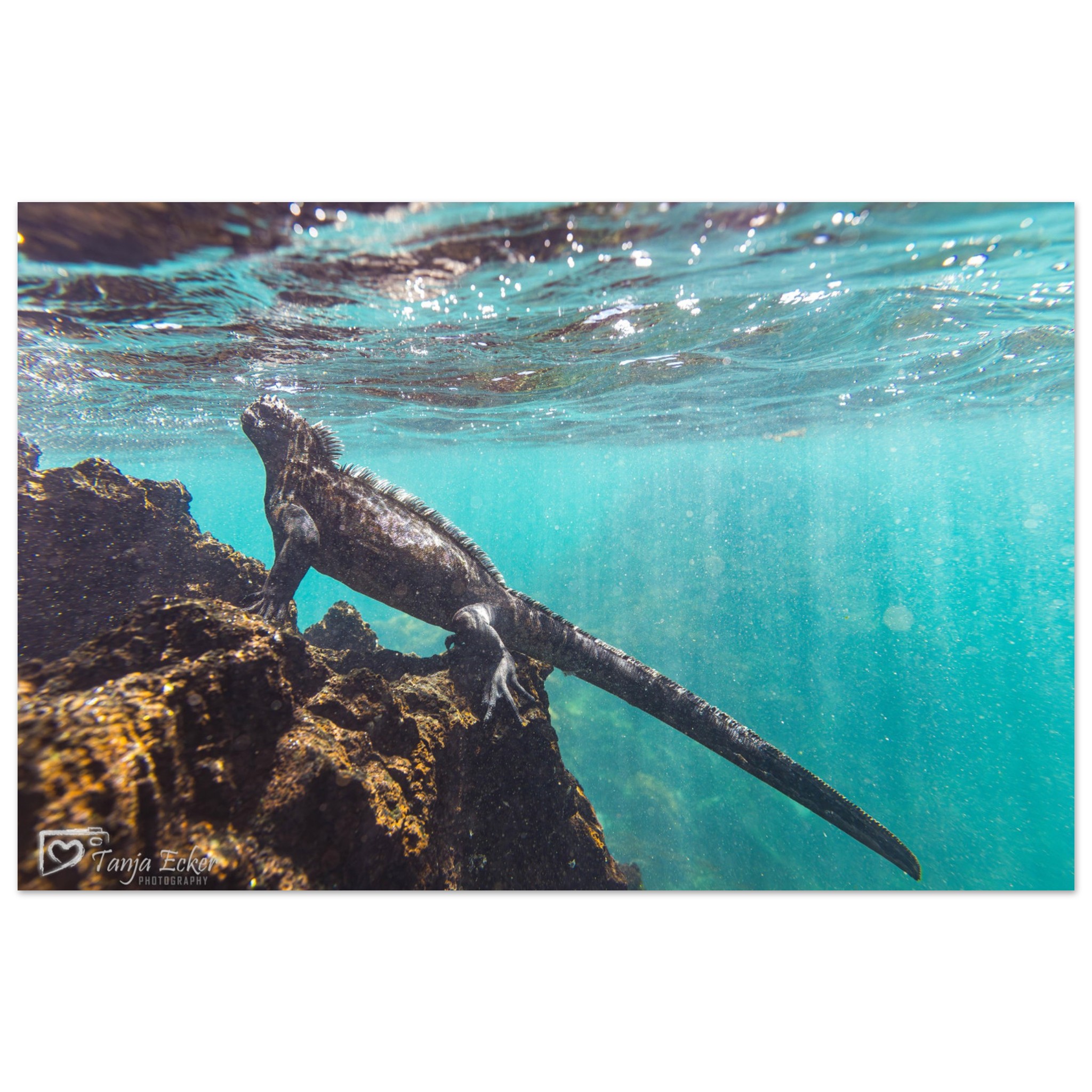 7fc8c294-b571-48c9-a80b-48b9007544ee