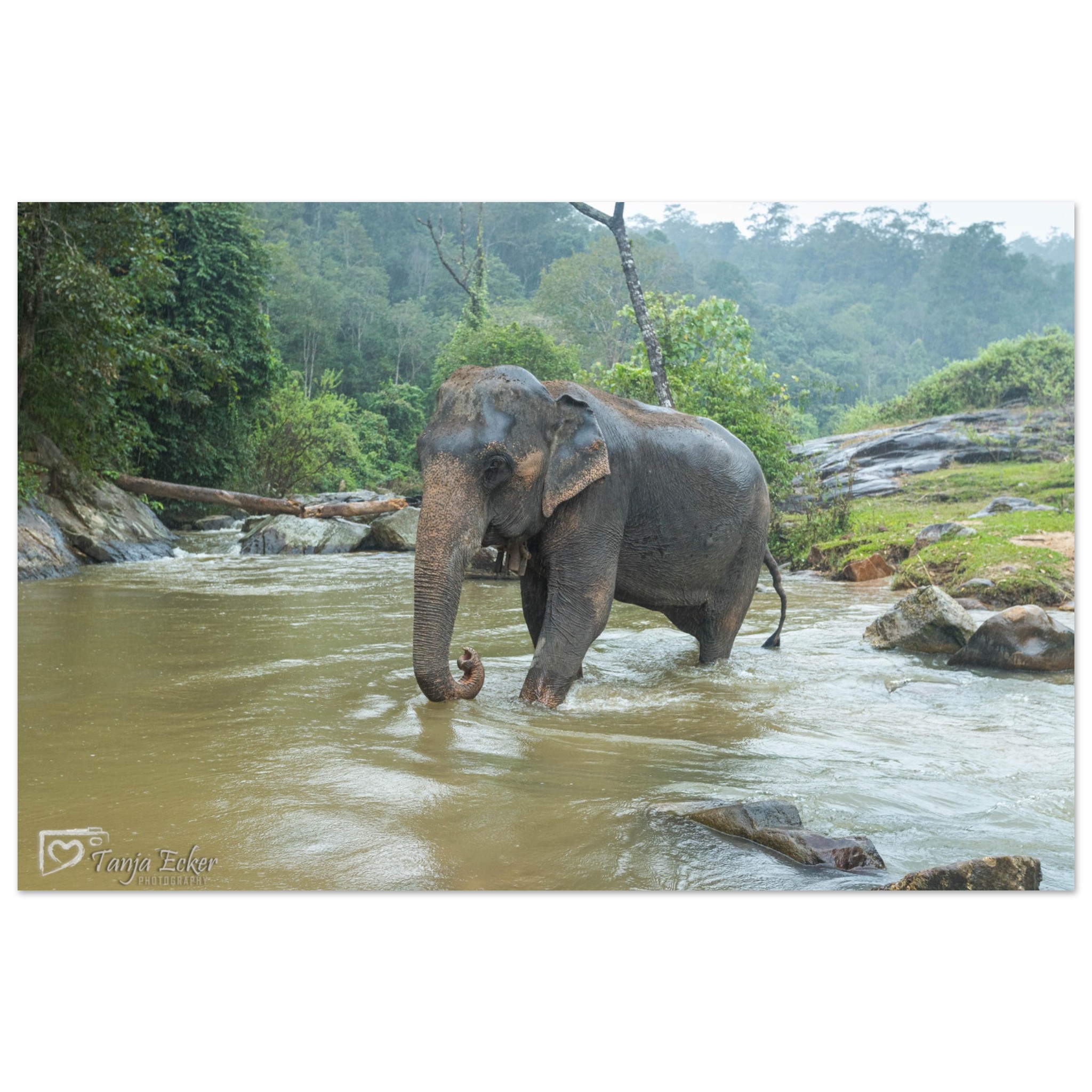 83552371-6a5d-40d0-94c8-75b7a8d98653