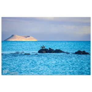 88c9e7c6-2a36-4202-9494-75446a928259