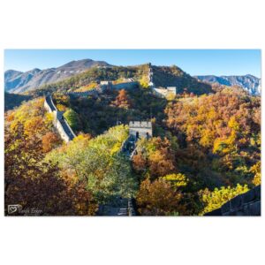 8b9667b9-eec5-4a1e-9eaf-83b049e535c4