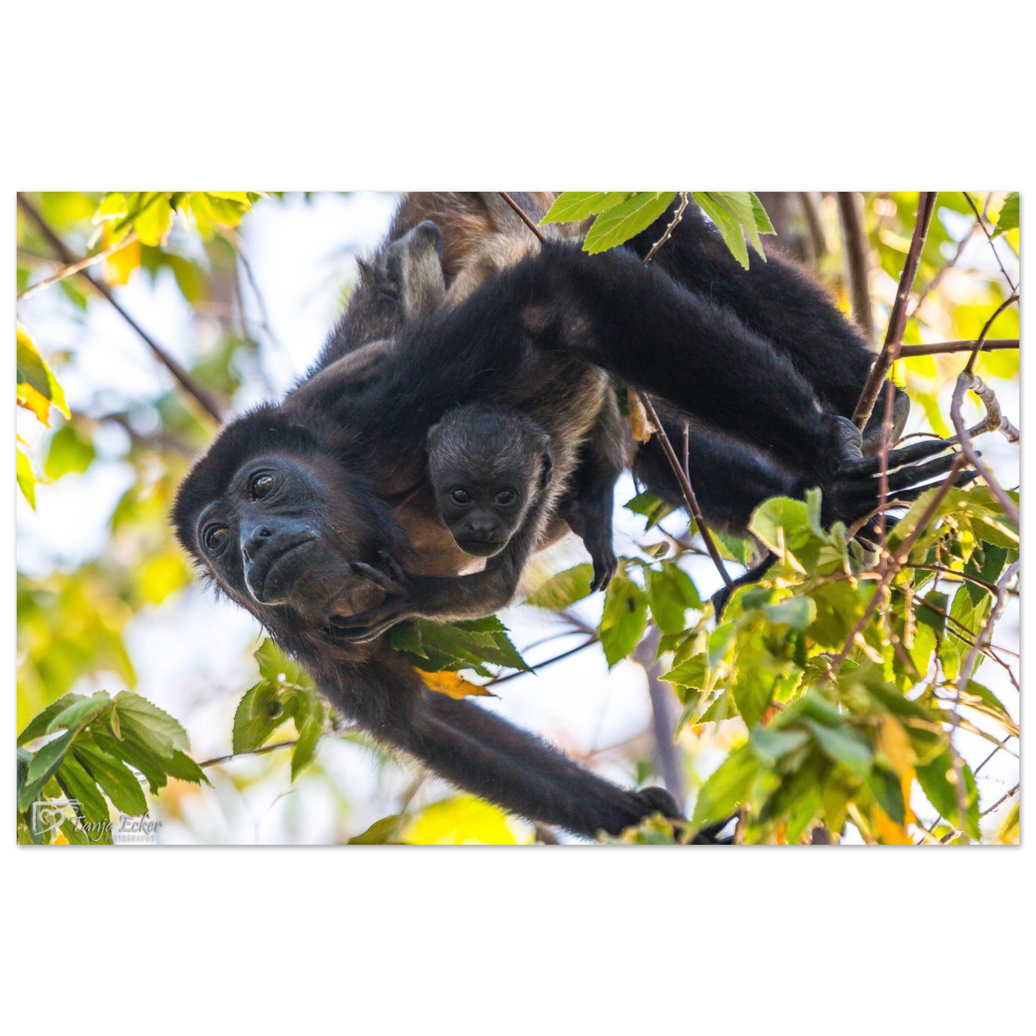 90787d35-b636-4869-9143-b36f8c3103f2