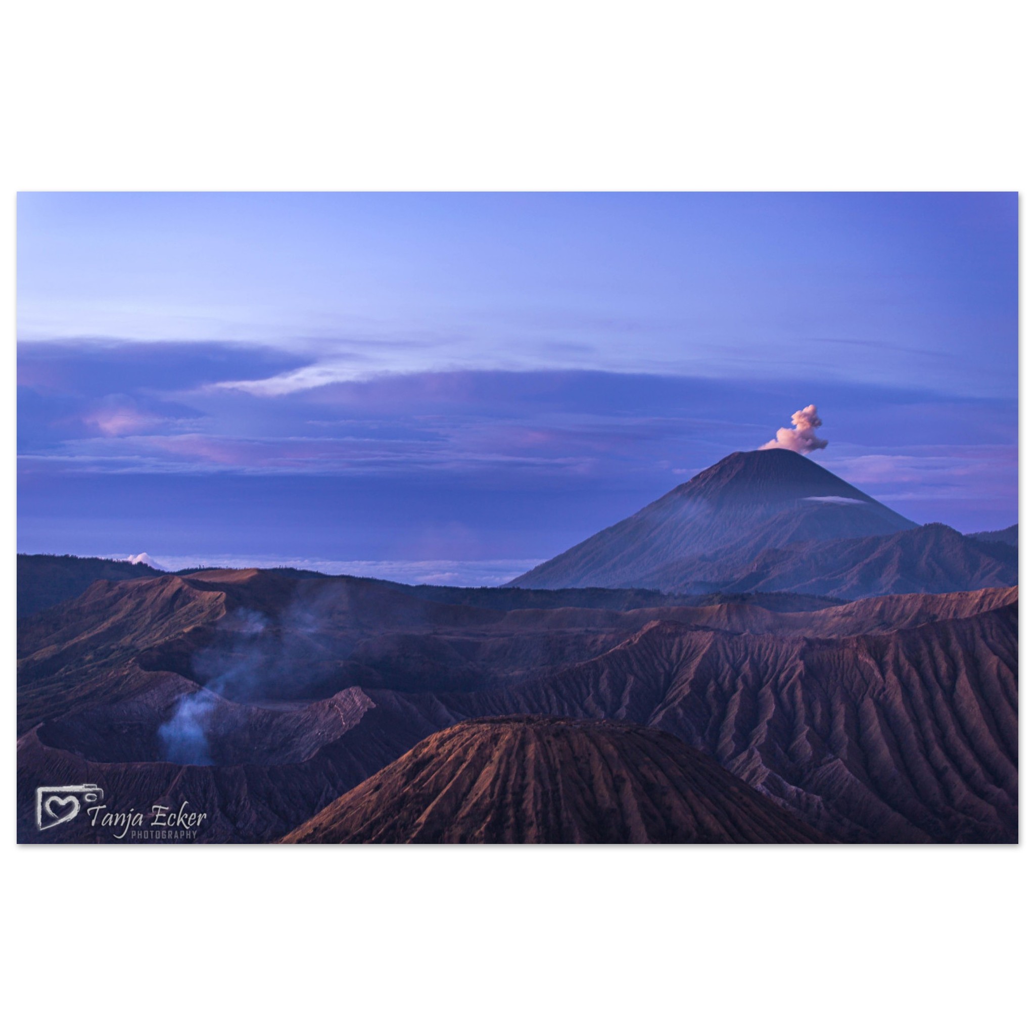 aee58498-d6fe-450d-934d-3b6bcf24edd4