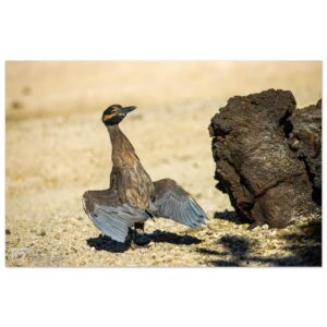 bc25f568-0445-4753-b44c-02a7654b17d2